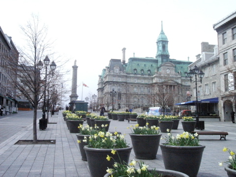 c0069732_2310575.jpg