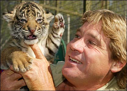 “ワニ・ハンター"がエイに刺されて死亡