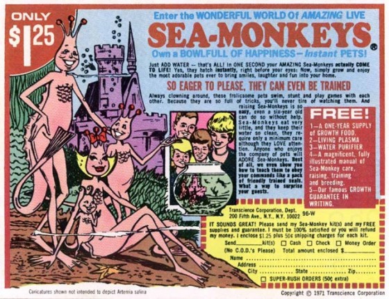 BestSeaMonkAdPic-e1309271648169