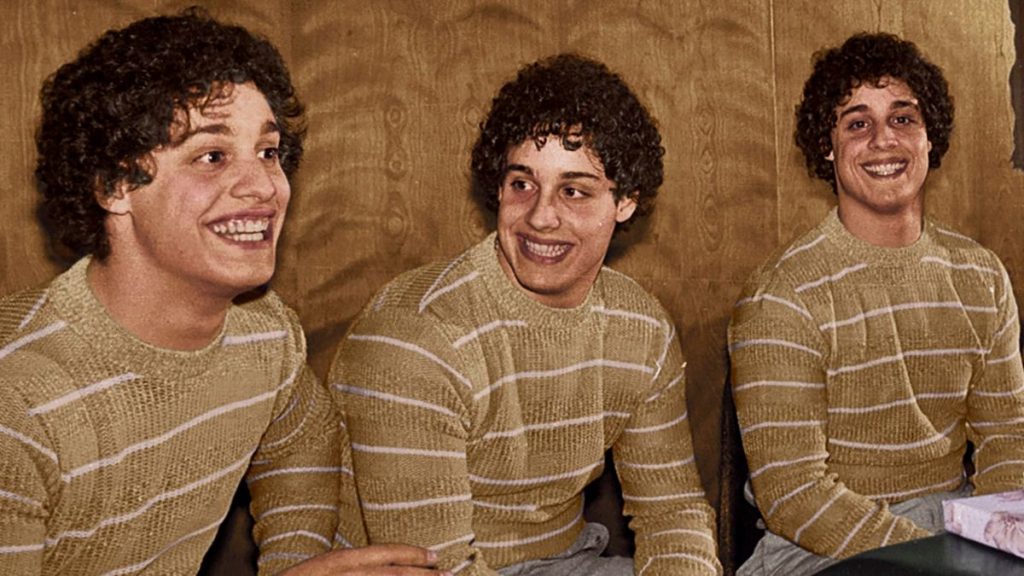 「Three Identical Strangers」鑑賞