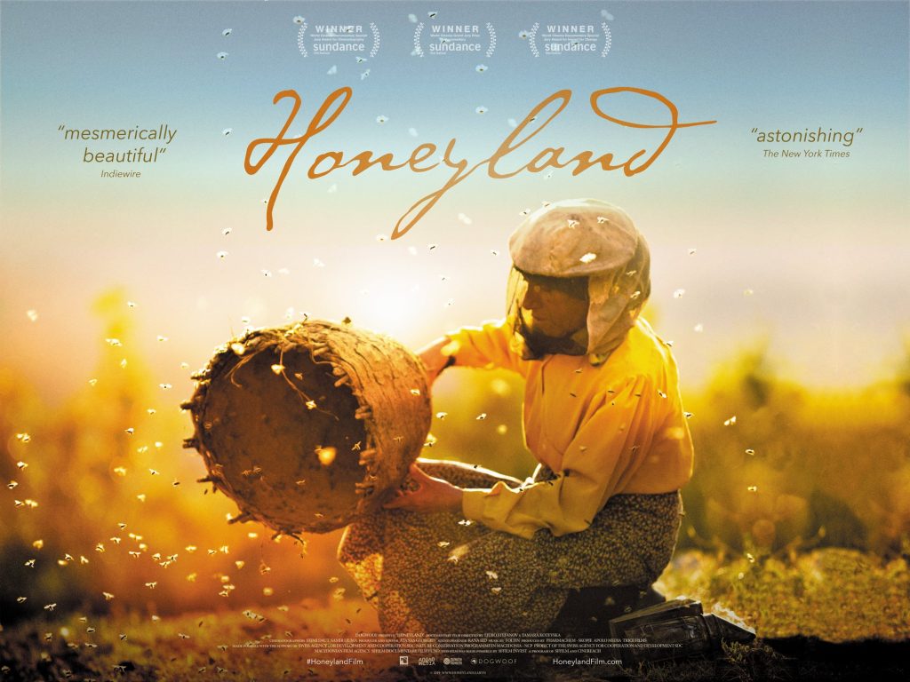 「HONEYLAND」鑑賞