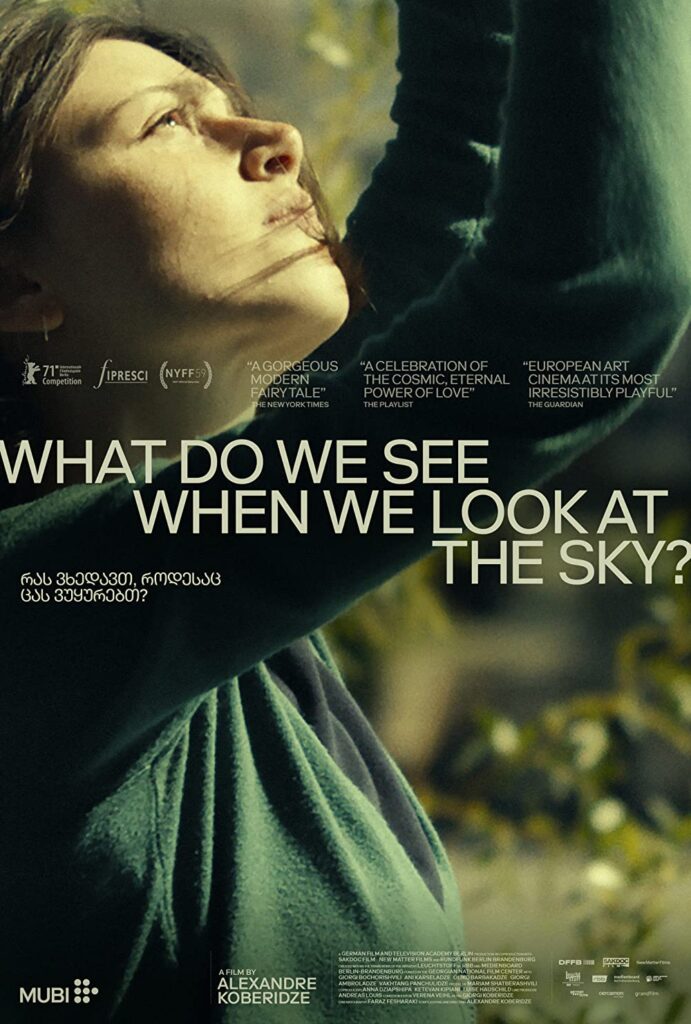 「WHAT DO WE SEE WHEN WE LOOK AT THE SKY?」鑑賞